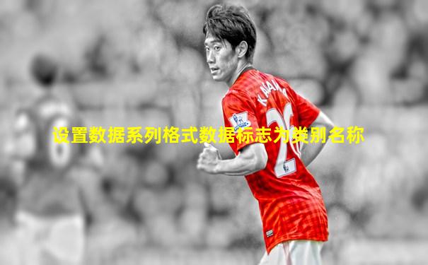 设置数据系列格式数据标志为类别名称
