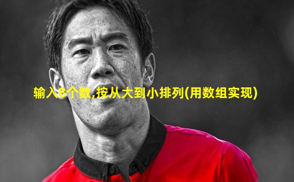 输入8个数,按从大到小排列(用数组实现)
